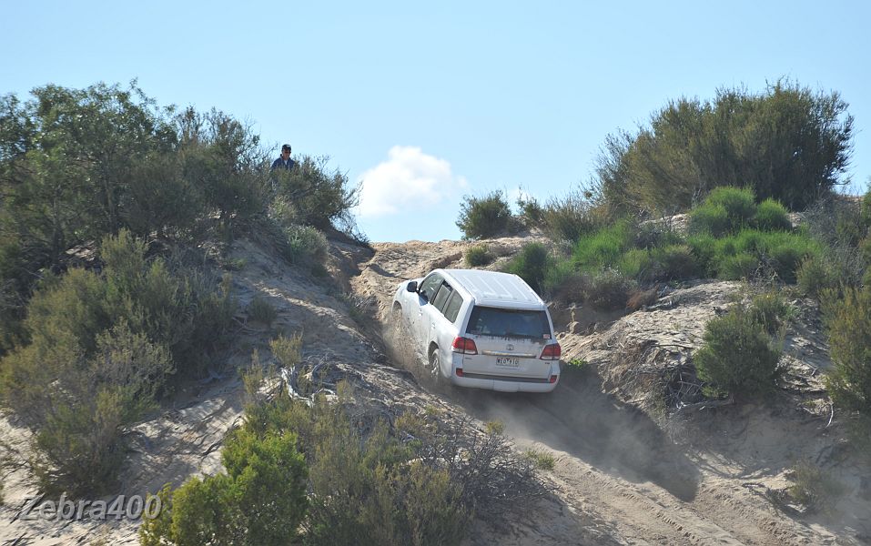 20-Demon flies up Ross Springs dune.JPG